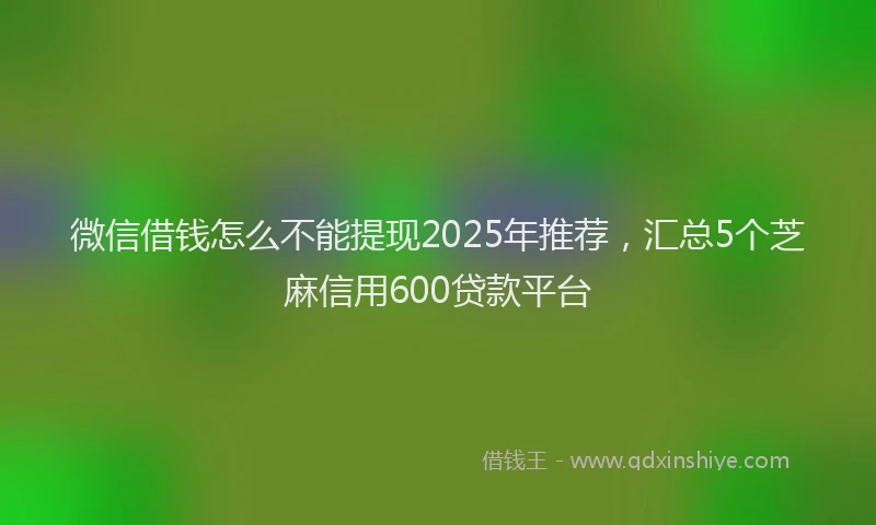 微信借钱怎么不能提现2025年推荐，汇总5个芝麻信用600贷款平台
