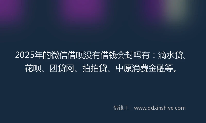 2025年的微信借呗没有借钱会封吗有：滴水贷、花呗、团贷网、拍拍贷、中原消费金融等。