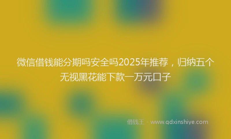 微信借钱能分期吗安全吗2025年推荐，归纳五个无视黑花能下款一万元口子