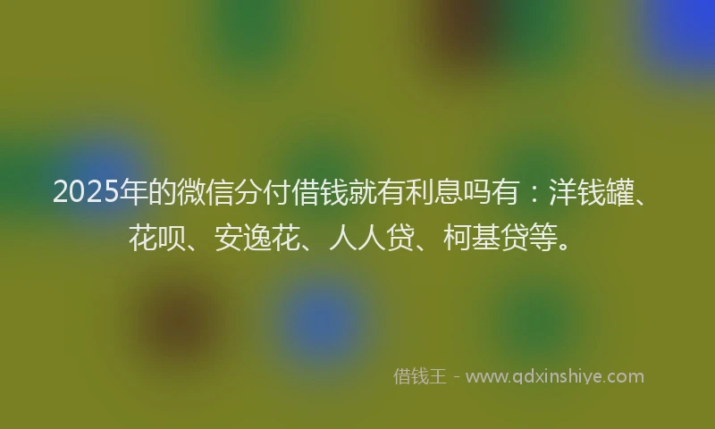2025年的微信分付借钱就有利息吗有:洋钱罐、花呗、安逸花、人人贷、柯基贷等。