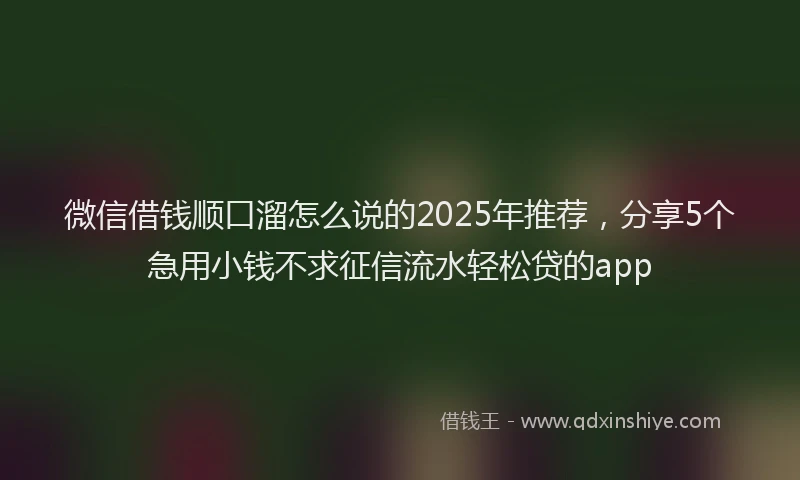 微信借钱顺口溜怎么说的2025年推荐，分享5个急用小钱不求征信流水轻松贷的app
