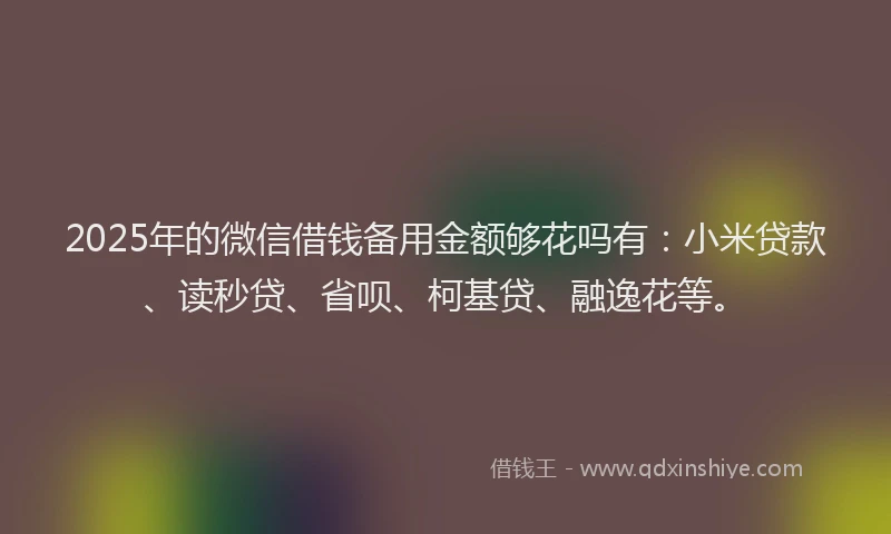 2025年的微信借钱备用金额够花吗有：小米贷款、读秒贷、省呗、柯基贷、融逸花等。