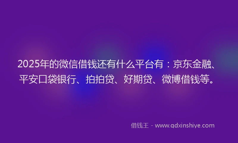 2025年的微信借钱还有什么平台有：京东金融、平安口袋银行、拍拍贷、好期贷、微博借钱等。