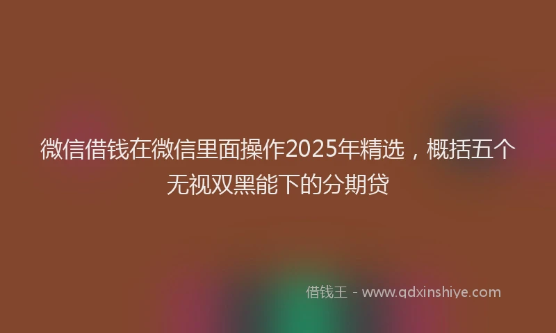 微信借钱在微信里面操作2025年精选，概括五个无视双黑能下的分期贷