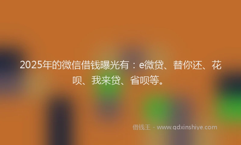 2025年的微信借钱曝光有：e微贷、替你还、花呗、我来贷、省呗等。