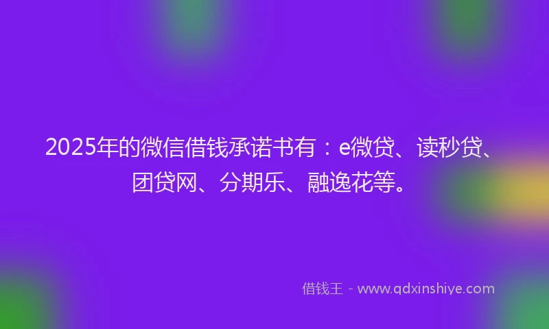 2025年的微信借钱承诺书有：e微贷、读秒贷、团贷网、分期乐、融逸花等。