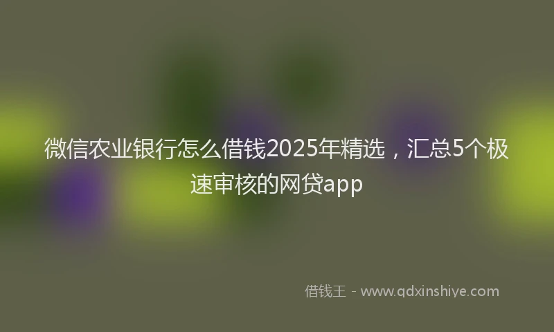 微信农业银行怎么借钱2025年精选，汇总5个极速审核的网贷app
