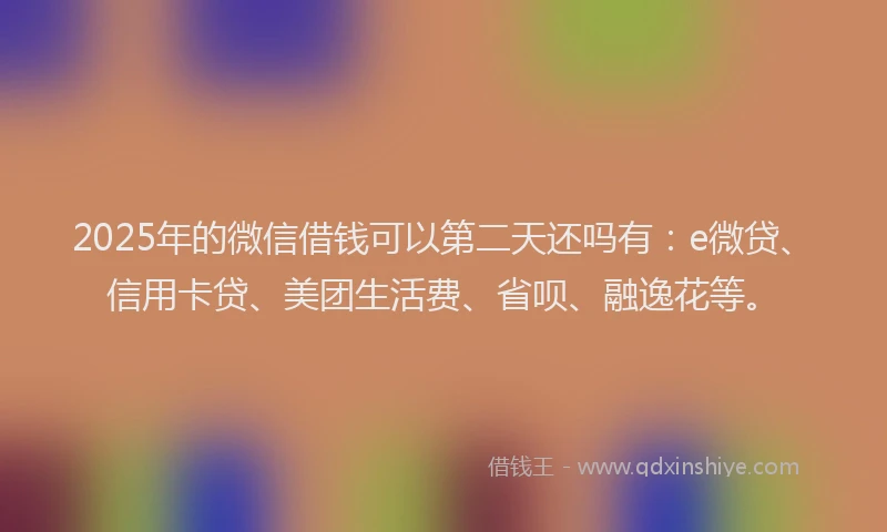 2025年的微信借钱可以第二天还吗有：e微贷、信用卡贷、美团生活费、省呗、融逸花等。