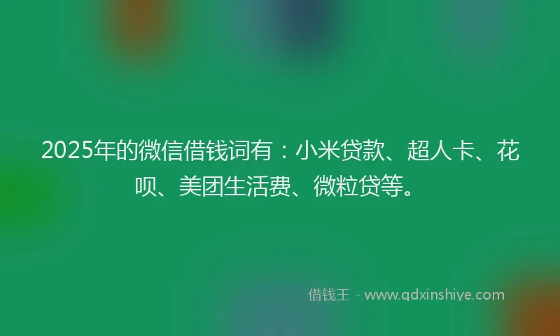 2025年的微信借钱词有：小米贷款、超人卡、花呗、美团生活费、微粒贷等。