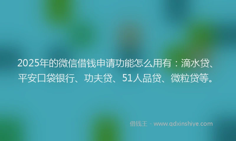 2025年的微信借钱申请功能怎么用有：滴水贷、平安口袋银行、功夫贷、51人品贷、微粒贷等。