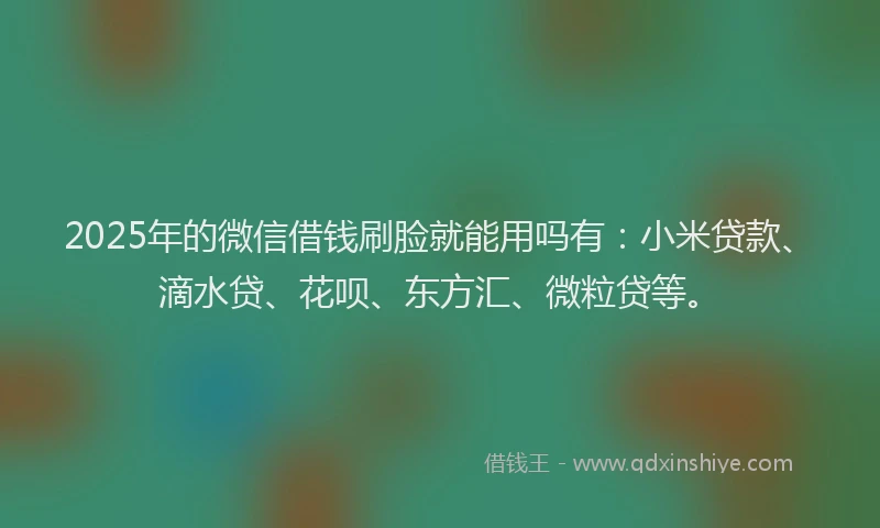 2025年的微信借钱刷脸就能用吗有：小米贷款、滴水贷、花呗、东方汇、微粒贷等。