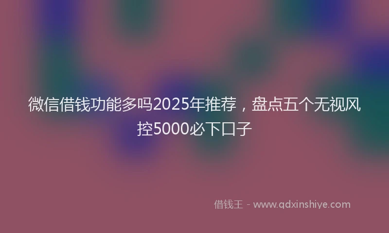 微信借钱功能多吗2025年推荐，盘点五个无视风控5000必下口子