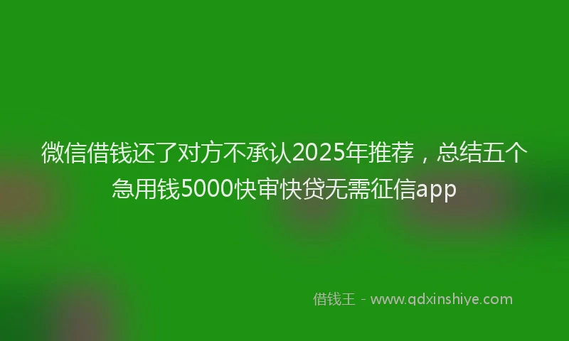 微信借钱还了对方不承认2025年推荐，总结五个急用钱5000快审快贷无需征信app