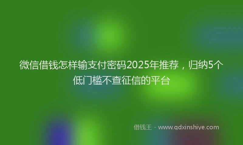 微信借钱怎样输支付密码2025年推荐，归纳5个低门槛不查征信的平台
