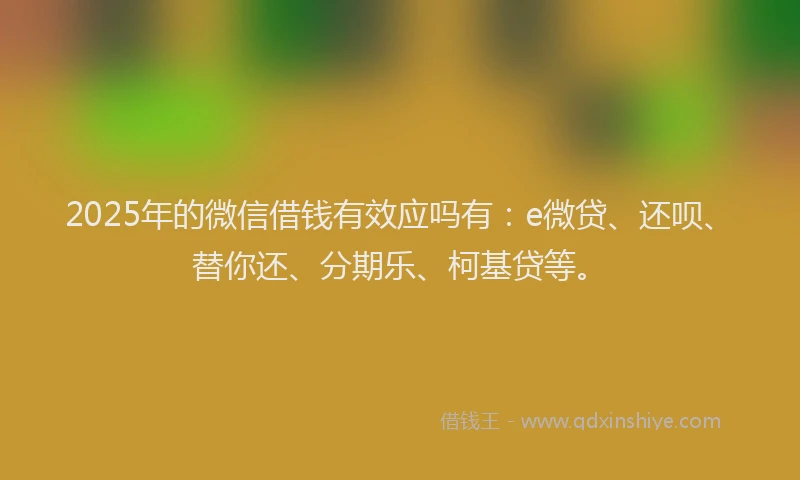 2025年的微信借钱有效应吗有：e微贷、还呗、替你还、分期乐、柯基贷等。