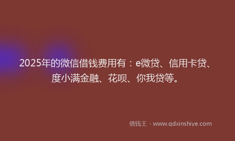 2025年的微信借钱费用有：e微贷、信用卡贷、度小满金融、花呗、你我贷等。