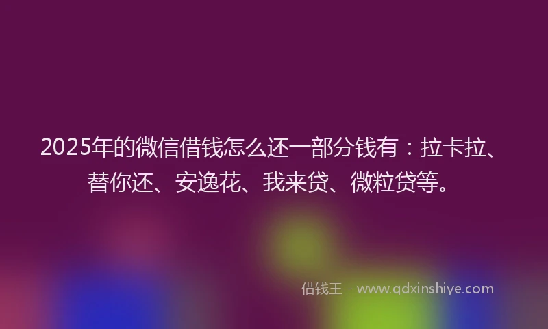 2025年的微信借钱怎么还一部分钱有：拉卡拉、替你还、安逸花、我来贷、微粒贷等。