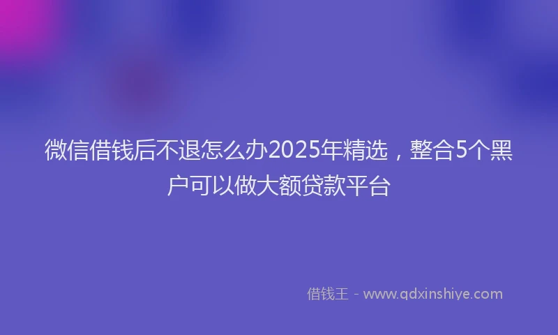 微信借钱后不退怎么办2025年精选，整合5个黑户可以做大额贷款平台