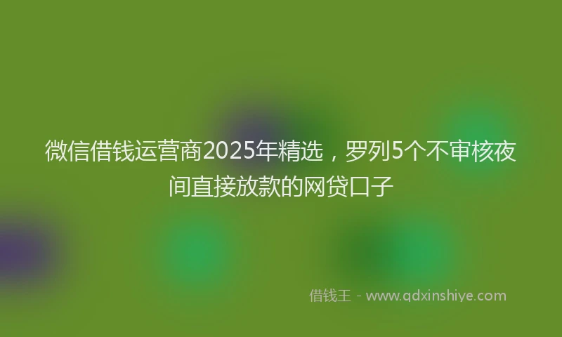 微信借钱运营商2025年精选，罗列5个不审核夜间直接放款的网贷口子