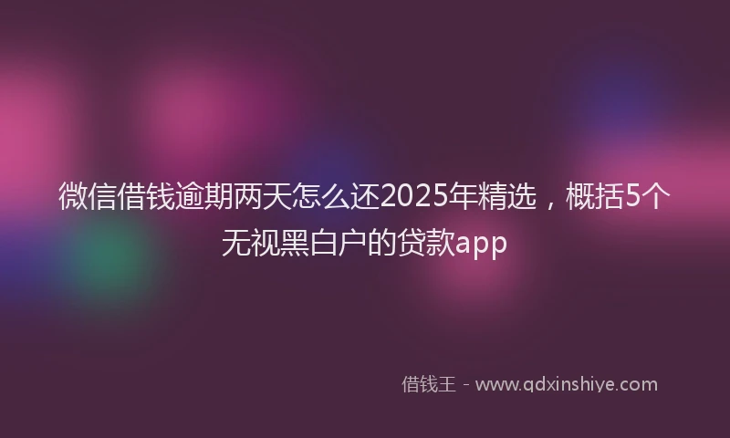 微信借钱逾期两天怎么还2025年精选，概括5个无视黑白户的贷款app