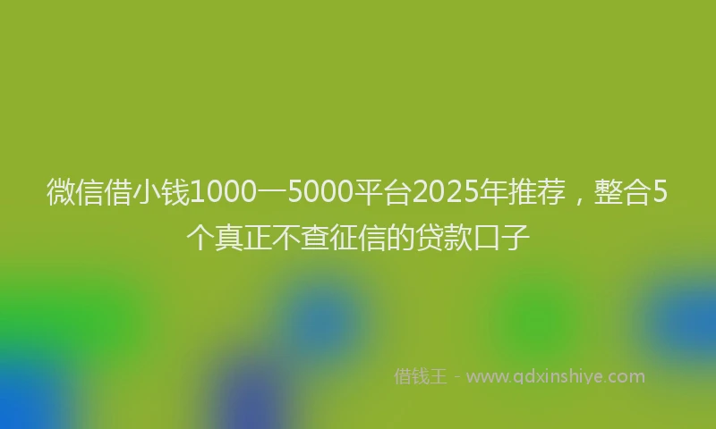 微信借小钱1000一5000平台2025年推荐，整合5个真正不查征信的贷款口子