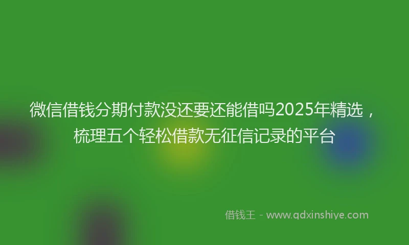 微信借钱分期付款没还要还能借吗2025年精选，梳理五个轻松借款无征信记录的平台