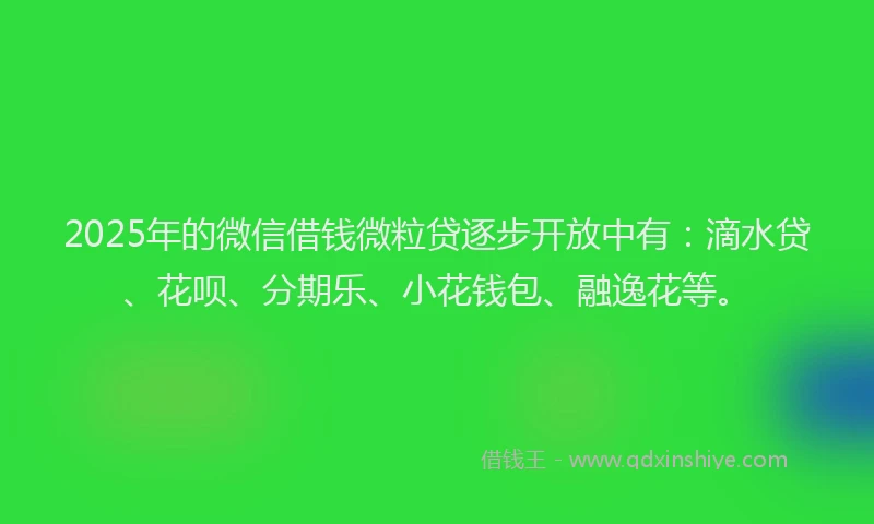 2025年的微信借钱微粒贷逐步开放中有：滴水贷、花呗、分期乐、小花钱包、融逸花等。