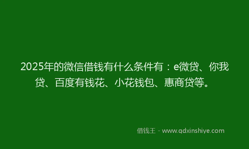 2025年的微信借钱有什么条件有：e微贷、你我贷、百度有钱花、小花钱包、惠商贷等。