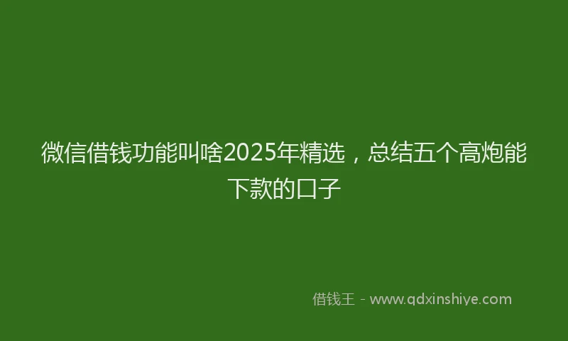微信借钱功能叫啥2025年精选，总结五个高炮能下款的口子