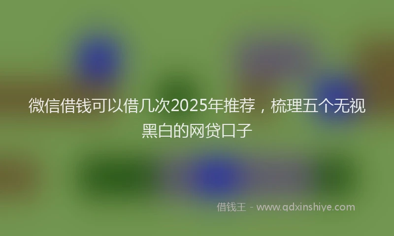 微信借钱可以借几次2025年推荐，梳理五个无视黑白的网贷口子