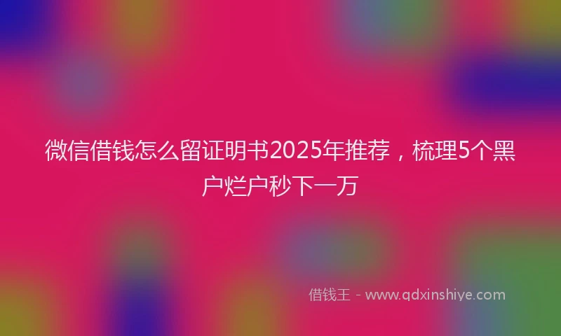 微信借钱怎么留证明书2025年推荐，梳理5个黑户烂户秒下一万