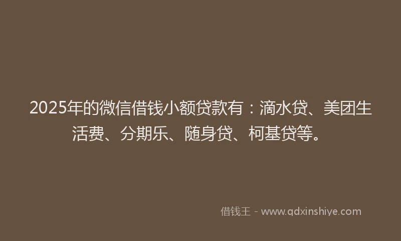 2025年的微信借钱小额贷款有：滴水贷、美团生活费、分期乐、随身贷、柯基贷等。