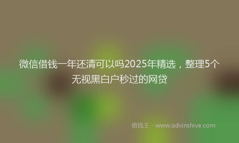 微信借钱一年还清可以吗2025年精选，整理5个无视黑白户秒过的网贷