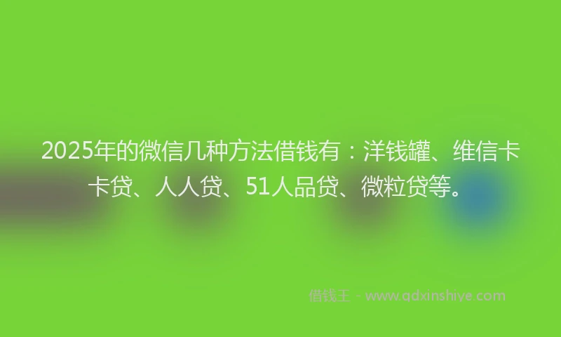 2025年的微信几种方法借钱有：洋钱罐、维信卡卡贷、人人贷、51人品贷、微粒贷等。