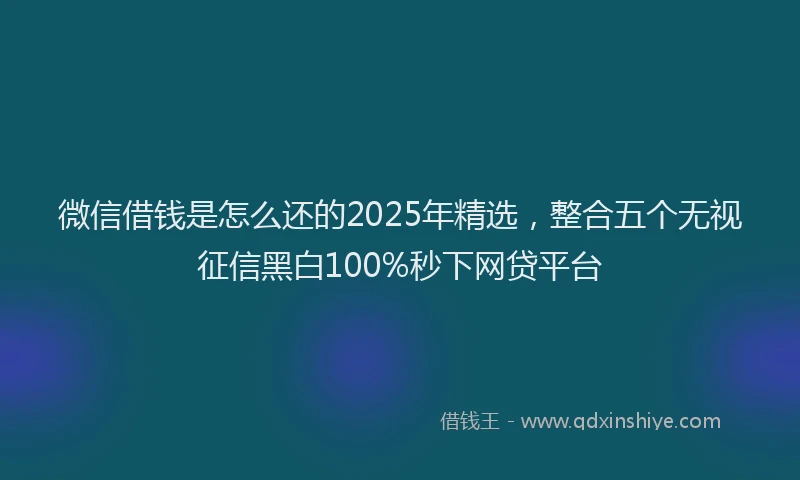 微信借钱是怎么还的2025年精选，整合五个无视征信黑白100%秒下网贷平台