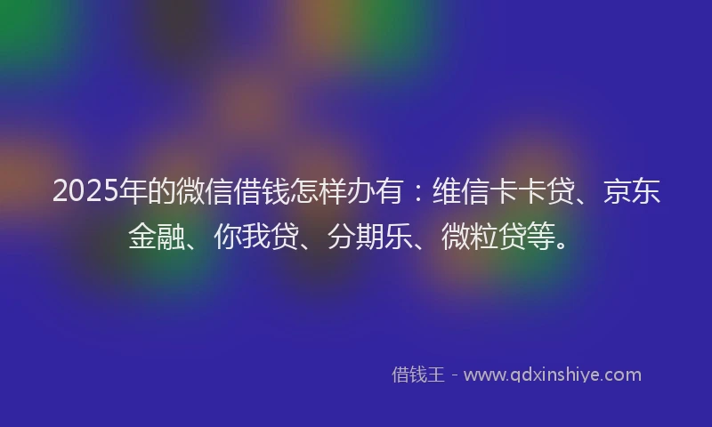 2025年的微信借钱怎样办有：维信卡卡贷、京东金融、你我贷、分期乐、微粒贷等。