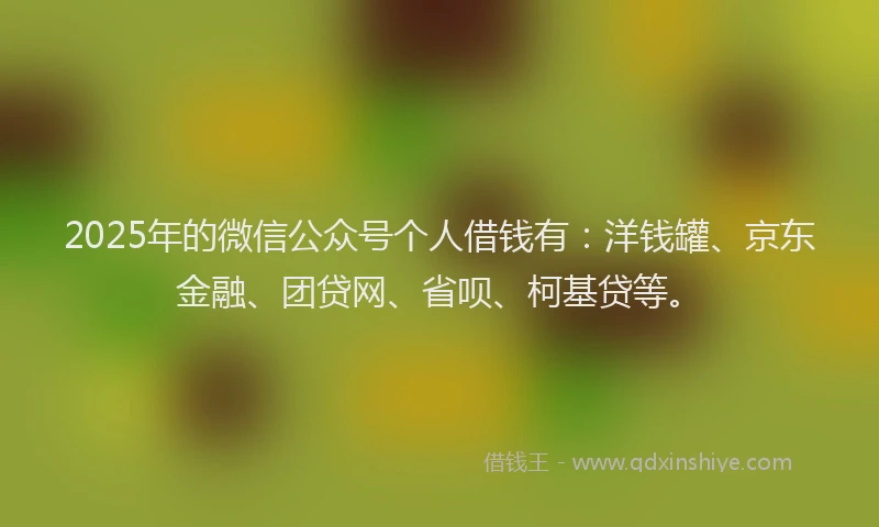 2025年的微信公众号个人借钱有：洋钱罐、京东金融、团贷网、省呗、柯基贷等。