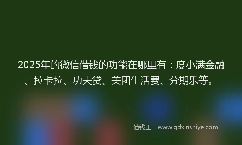 2025年的微信借钱的功能在哪里有：度小满金融、拉卡拉、功夫贷、美团生活费、分期乐等。