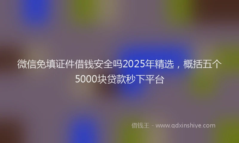 微信免填证件借钱安全吗2025年精选，概括五个5000块贷款秒下平台