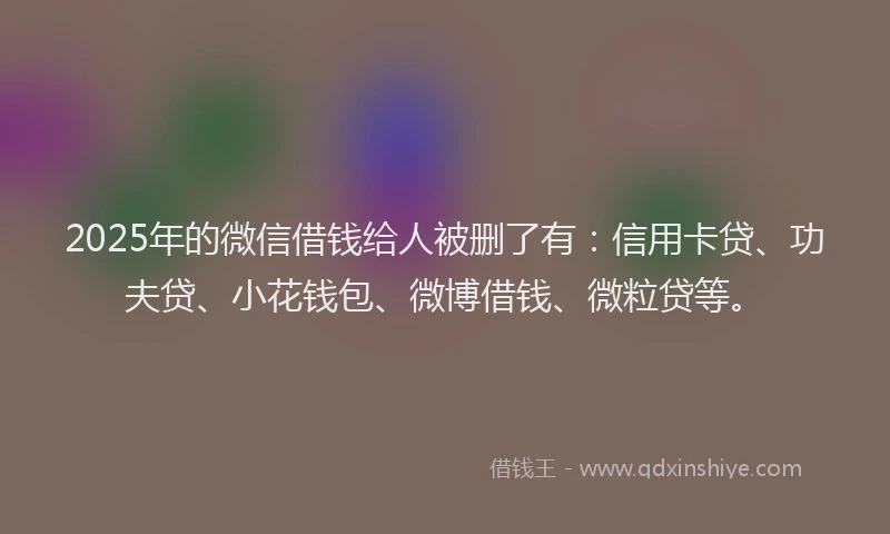 2025年的微信借钱给人被删了有：信用卡贷、功夫贷、小花钱包、微博借钱、微粒贷等。