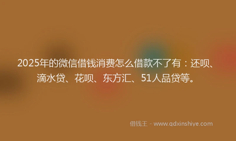 2025年的微信借钱消费怎么借款不了有：还呗、滴水贷、花呗、东方汇、51人品贷等。