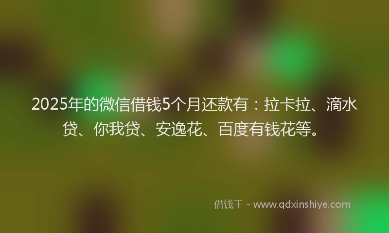 2025年的微信借钱5个月还款有：拉卡拉、滴水贷、你我贷、安逸花、百度有钱花等。