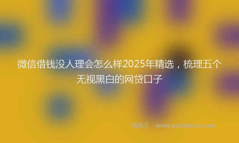 微信借钱没人理会怎么样2025年精选，梳理五个无视黑白的网贷口子