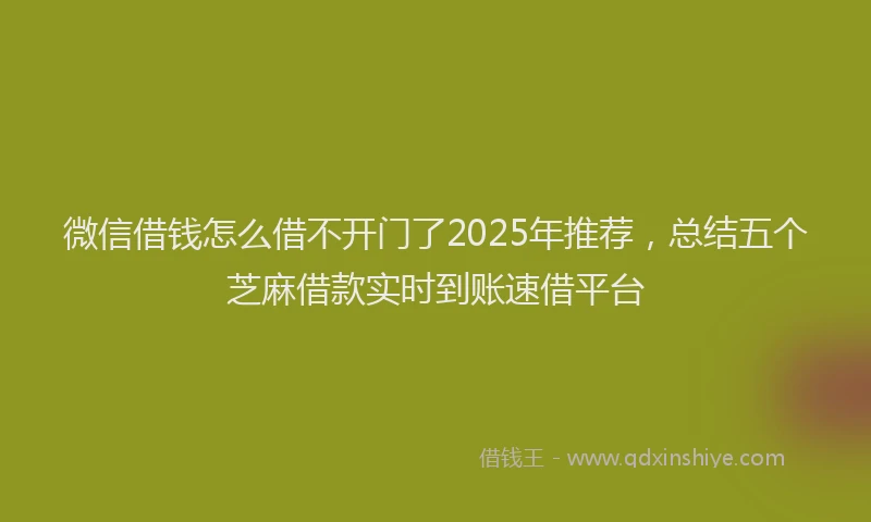 微信借钱怎么借不开门了2025年推荐，总结五个芝麻借款实时到账速借平台
