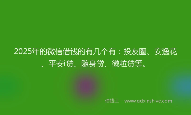 2025年的微信借钱的有几个有：投友圈、安逸花、平安i贷、随身贷、微粒贷等。