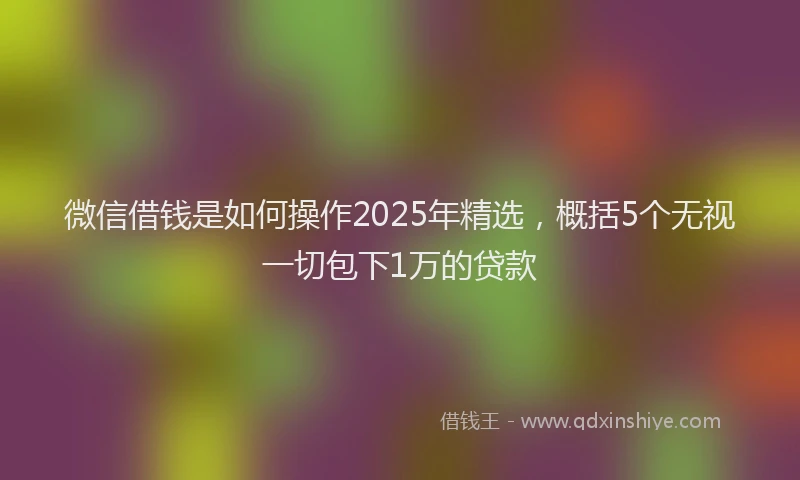 微信借钱是如何操作2025年精选，概括5个无视一切包下1万的贷款