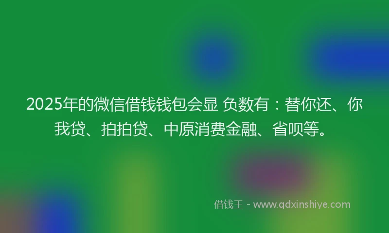 2025年的微信借钱钱包会显 负数有：替你还、你我贷、拍拍贷、中原消费金融、省呗等。