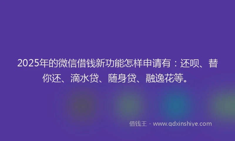 2025年的微信借钱新功能怎样申请有：还呗、替你还、滴水贷、随身贷、融逸花等。