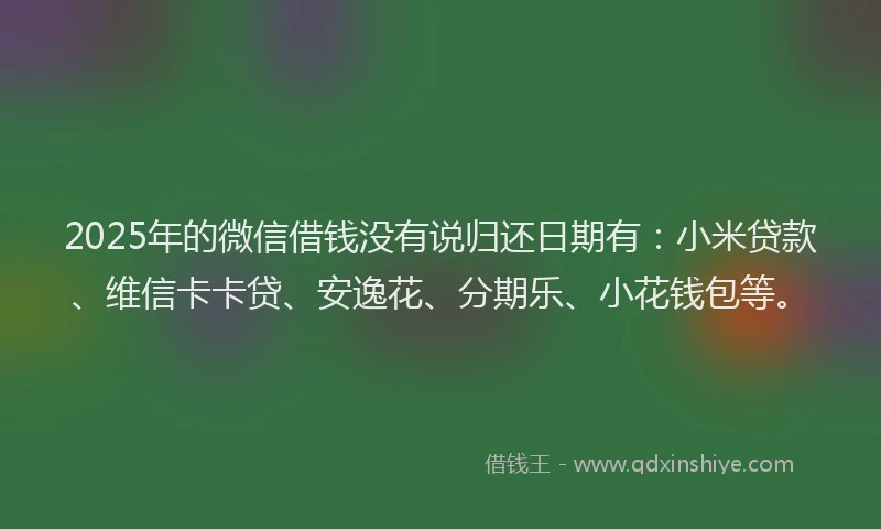 2025年的微信借钱没有说归还日期有：小米贷款、维信卡卡贷、安逸花、分期乐、小花钱包等。