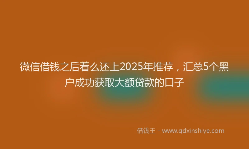 微信借钱之后着么还上2025年推荐，汇总5个黑户成功获取大额贷款的口子